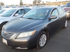 BUY TOYOTA CAMRY HYBRID 2009 4DR SDN (NATL), WSM Auctions